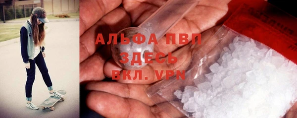 метадон Алексин