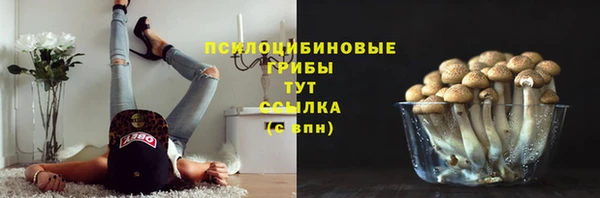 стаф Алексеевка