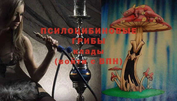 стаф Алексеевка